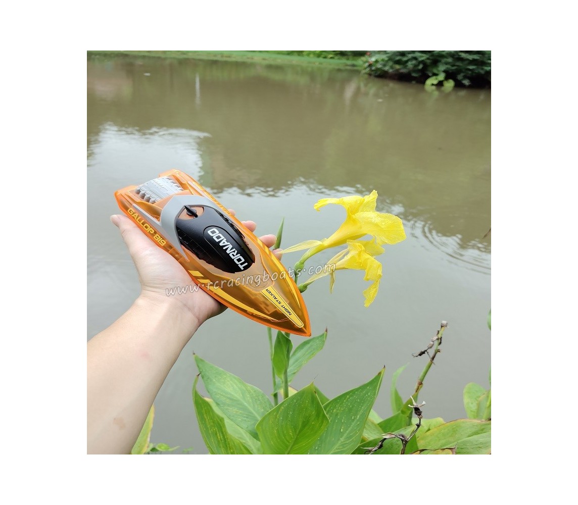 HONGXUNJIE HJ819 RC Boat 2.4Ghz Mini High Speed Racing Boat for Children